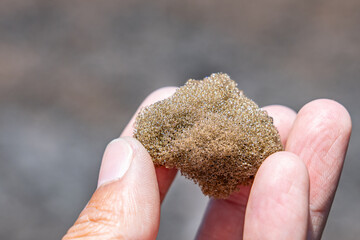  Reticulite is an extreme form of pumice in which all bubbles have burst and become interconnected,...