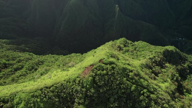 Sommet de la Randonn&eacute;e Vaitavere, vue sur le plateau des orangers