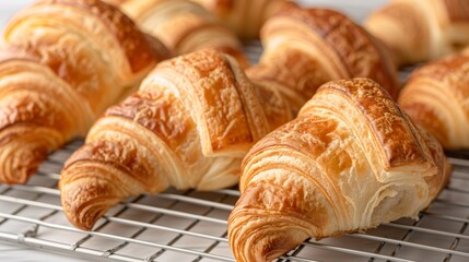 A detailed shot of a batch of freshly baked cookies with chocolate chunks, on a rustic wooden board, high-resolution photo, realistic photo, cinematography, hyper realistic