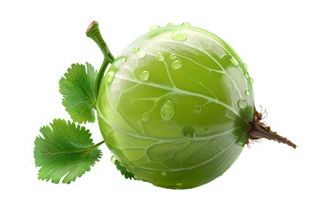 A Single Gooseberry With Dewdrops