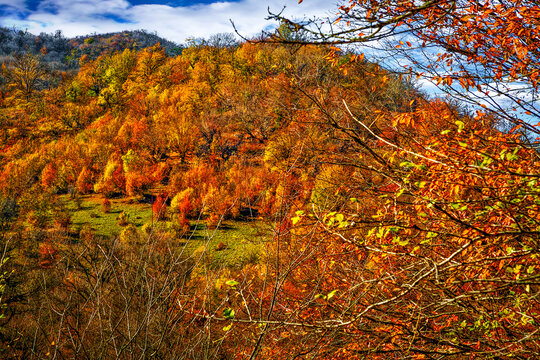 Hyrcanian Forests (Chenar Bon). The Hyrcanian forests are a zone of lush lowland and montane forests covering about 55,000 square kilometres near the shores of the Caspian Sea in Iran and Azerbaijan. 