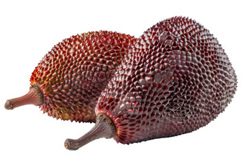 Two Whole Salak Fruits Isolated On White Background