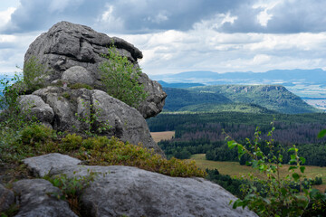 Rock Monkey Head (apeman) known as well as teddy bear (rock formation). Stolowe Mountains National Park near Kudowa-Zdroj resort, Lower Silesia, Sudety, Poland. 