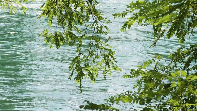 Adda, fiume Adda, Crespi d'Adda, river, wild rivers, flowing water, bright, water, riverside, trees, tree, wood, Vaprio d'Adda, Calolziocorte, Calusco d'Adda, mountain, clear water, nature