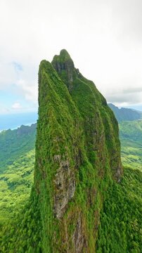 Dive Mou'aroa Mount