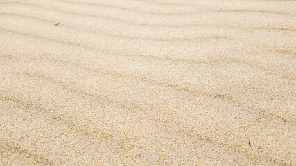 Close-up of pristine raked sand with wavy patterns, evoking serenity and tranquility, concept of zen garden or mindfulness
