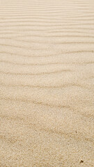 Sandy beach ripples at low tide evoke summer vacation and tranquility