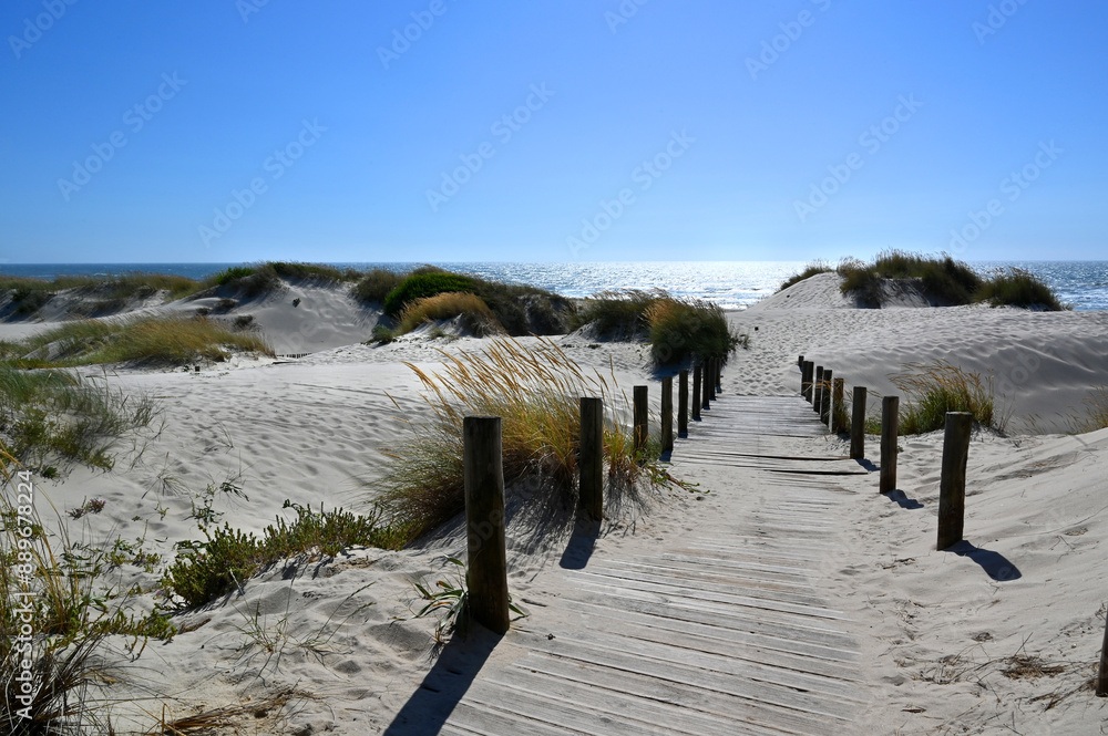 Wall mural beach in portugal with grass dunes and blue sunshine sky, seascape atlantic at summer with walkway p