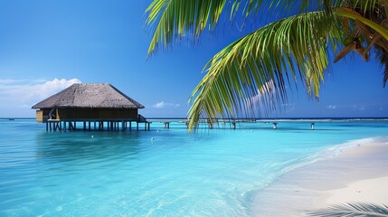 Maldives Islands ocean and tropical beach