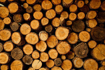 Detail of tree trunks in a pile of firewood.