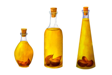 A bottle of aromatic olive oil with spices and garlic, watercolor hand painted, isolated on white background. It can be used for prints on textile and paper, for clothes, for plates and dishes design