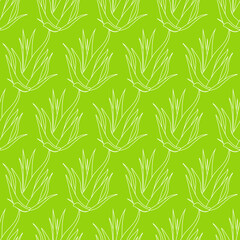 Fototapeta premium Seamless Green aloe vera pattern