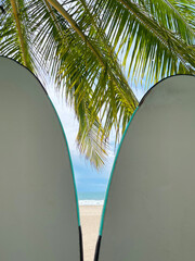 Surf boards under a palm tree at the beach in Costa Rica