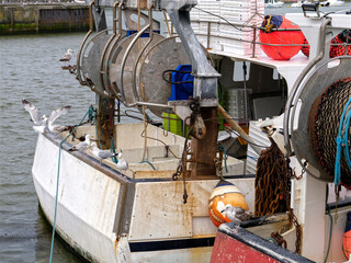 Fishing boat with herring gull (Larus argentatus) in Industrial port of Les Sables d'Olonne,...