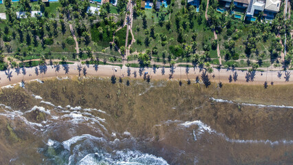 Praia do Forte, Bahia, Brasil
