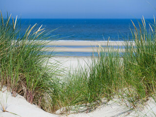 Blick auf die Nordsee durch Dünengras an einem menschenleeren Strand auf der Insel Langeoog