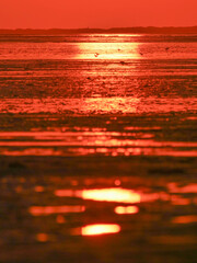Sonnenuntergang im Wattenmeer nahe Bensersiel