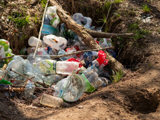 Śmieci pozostawione w lesie, odpady, wysypisko