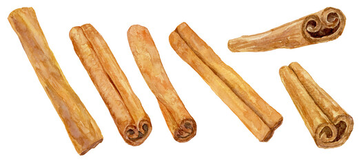 たくさんのシナモンスティック　水彩イラスト　セット