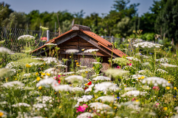 One wooden insect house in the garden. Bug hotel at the park with plants in Switzerland.