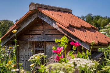 One wooden insect house in the garden. Bug hotel at the park with plants in Switzerland.