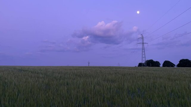 Time-lapse of transmission towers and power lines in a rye field at sunset. High voltage electric pylons. Concept of energy and power distribution. HD Video.