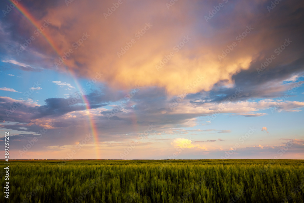Poster a splendid view of a colorful sky at sunset and a rainbow over a field.
