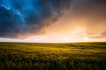 Spectacular scene of agricultural land in the sunlight in the evening.