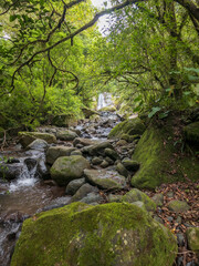 Cascada en Montañas de Boquete
