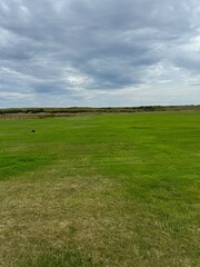 grass and blue sky