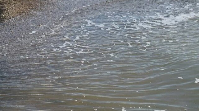 Waves on the beach with a dog. Ocean coast. Stop motion moving image clip mp4. Santa Severa Italy