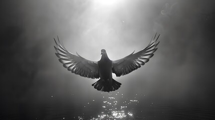Fototapeta premium A black and white photo of a Pigeon flying with misty and dreamy background