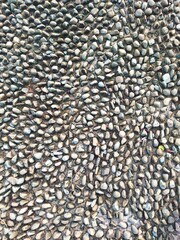 pebble stone background