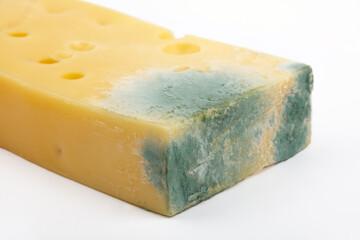 Piece of Moldy emmental cheese