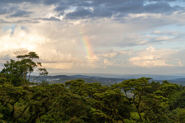 Obraz premium Ecuadorian jungle, trees, rainbow and sunset