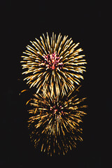 Obraz premium Fourth of July fireworks in the night sky