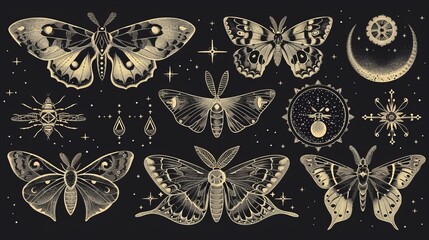 Artistic moth designs in gold with celestial symbols set against a black background, showcasing intricate details and a mystical atmosphere.