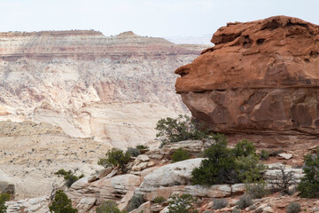 Fototapeta premium Baboon-head boulder on the Fryingpan Trail, Capitol Reef National Park, Utah 