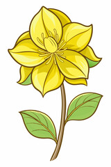 beautiful colorful illustration of hellebore flower