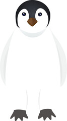 penguin north pole illustration design