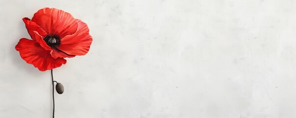 Painting of a poppy flower with bold red petals, poppy watercolor, wildflower beauty