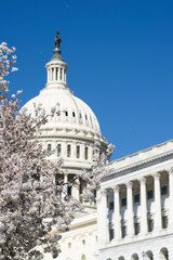 Washington DC capitol building