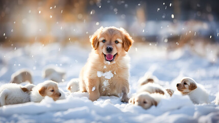 A charming golden retriever puppy playfully frolicking in the snow surrounded by a group of fluffy white puppies in a serene winter landscape