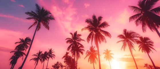 Pink and orange sky with silhouetted palm trees swaying in breeze