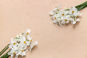 Daffodil flowers on beige background. Top view