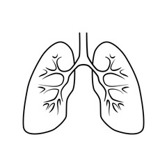 Detailed lungs isolated on white background. Minimalist line art lungs