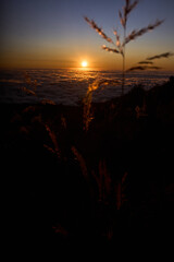 sunrise in the mountains