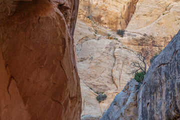 Narrow section of canyon on The Grand Wash Trail, Capitol Reef National Park, Utah