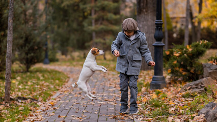 Fototapeta premium Caucasian boy playing with a dog for a walk in the autumn park. 