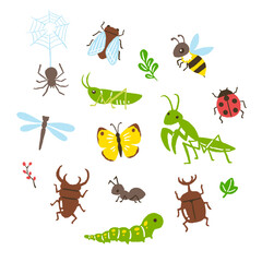 simple hand writing illustration of insects